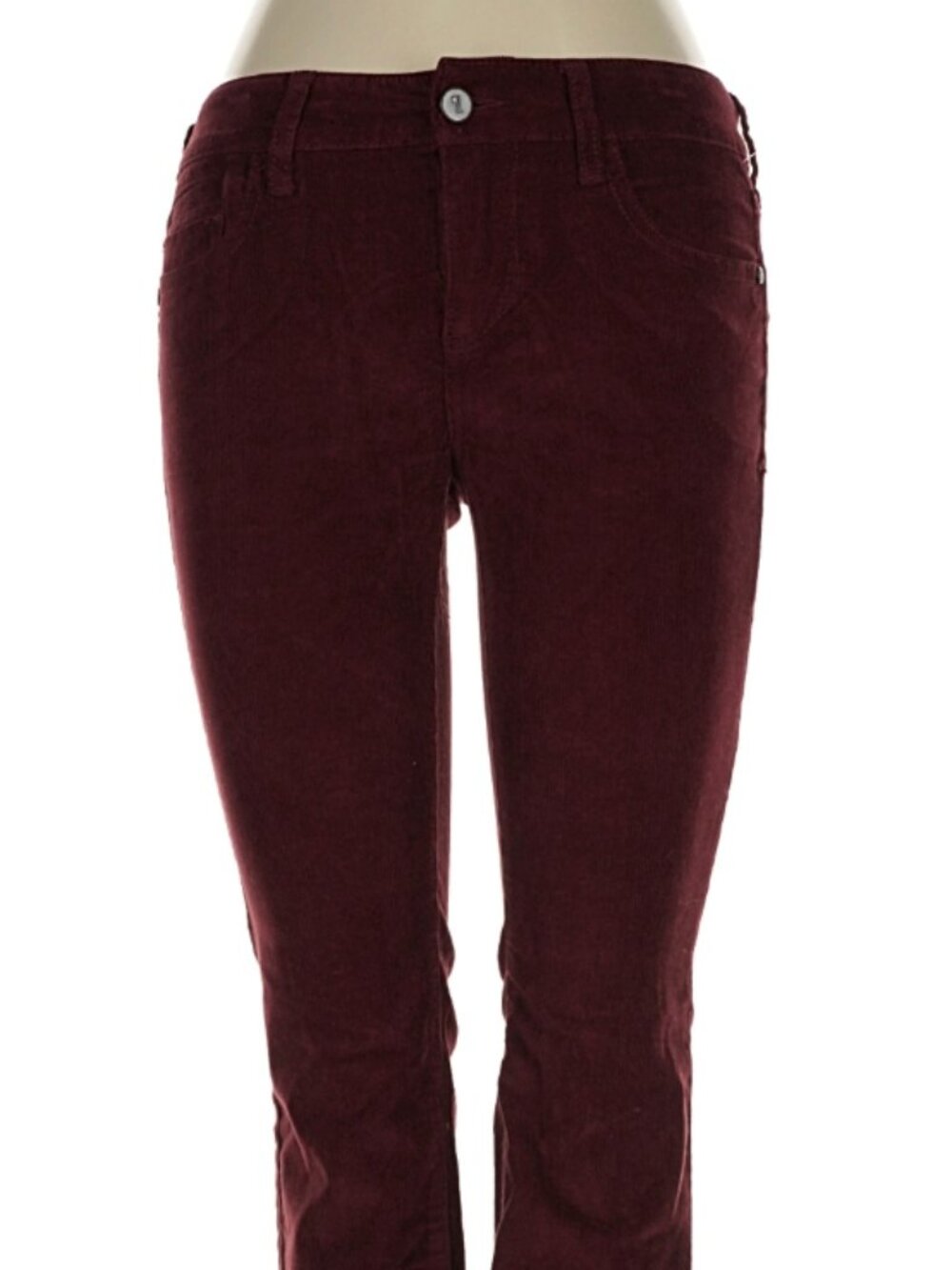 NWT Anthropologie Pilcro and the Letterpress Pants Size 25